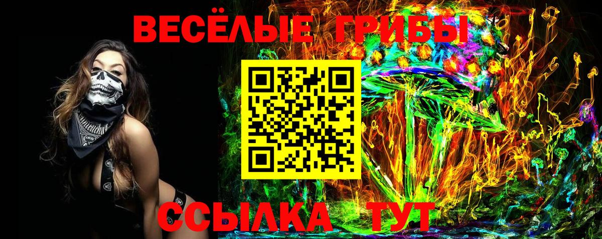 Нововоронеж  Псилоцибиновые грибы Psilocybine cubensis  Вход с VPN 